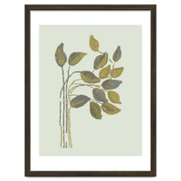 Olivia muted botanical oils