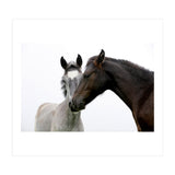 Two Horses (Print Only) thumbnail