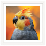 Cockatiel Parrot Close Up thumbnail