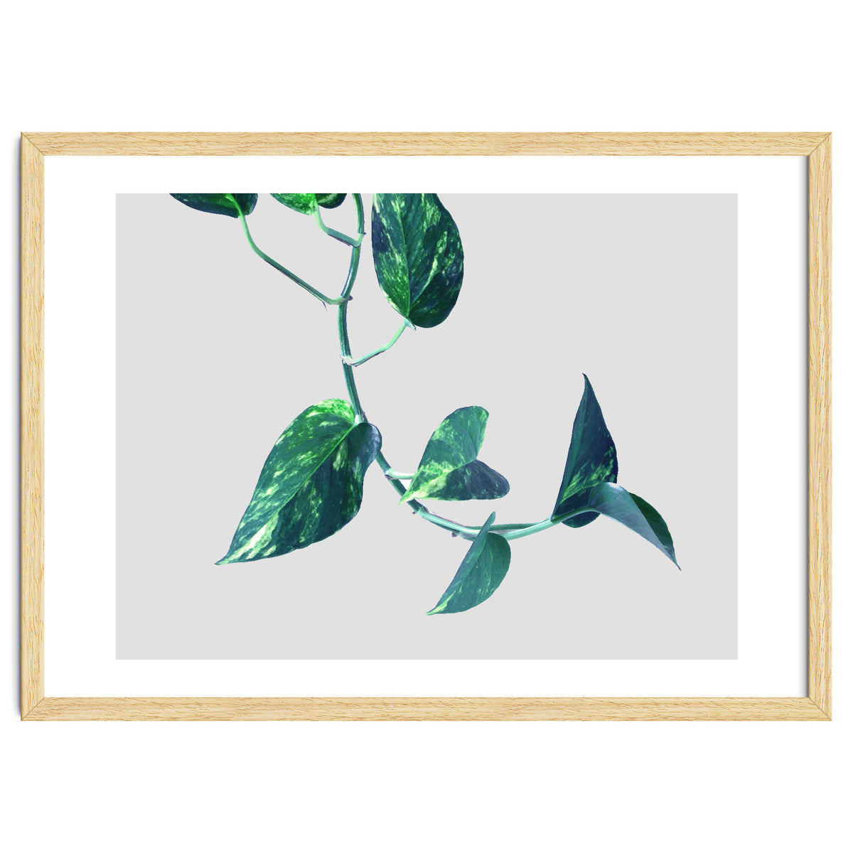 Projection & Emotion