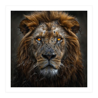 Majestic Lion With Glowing Eyes Close Up Portrait (Print Only)