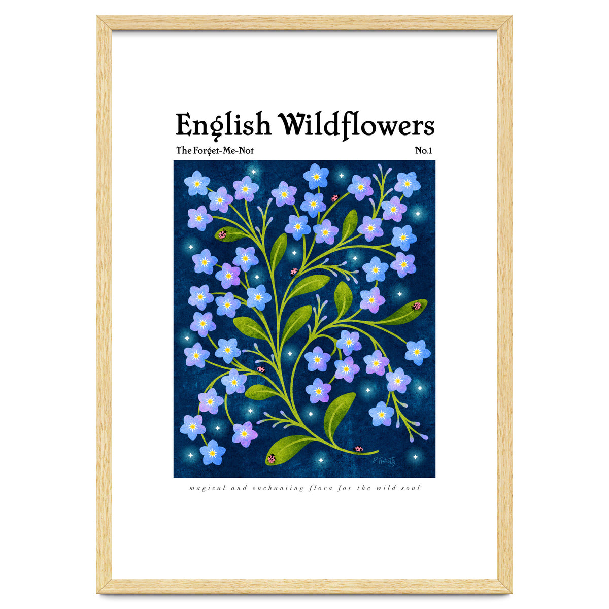 English Wildflowers | Forget-Me-Not