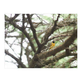 Mini sun (Print Only) thumbnail