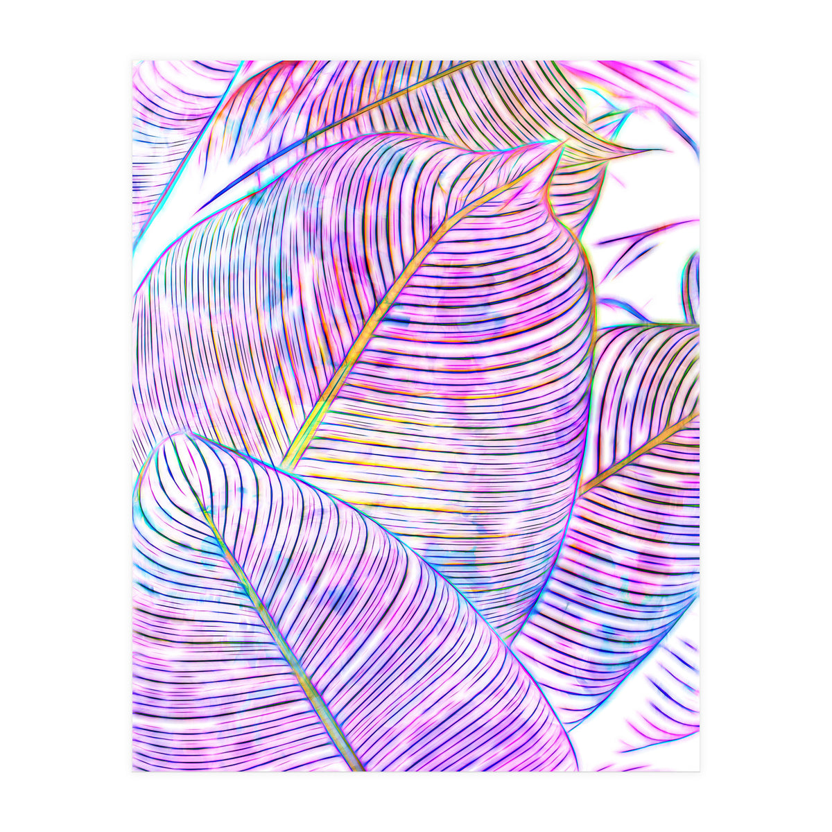 Pink Banana Leaves | Tropical Botanical Jungle | Ultraviolet Purple Nature Plants | Eclectic Forest (Print Only)