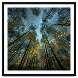 Enchanted Night Forest with Glowing Fireflies thumbnail