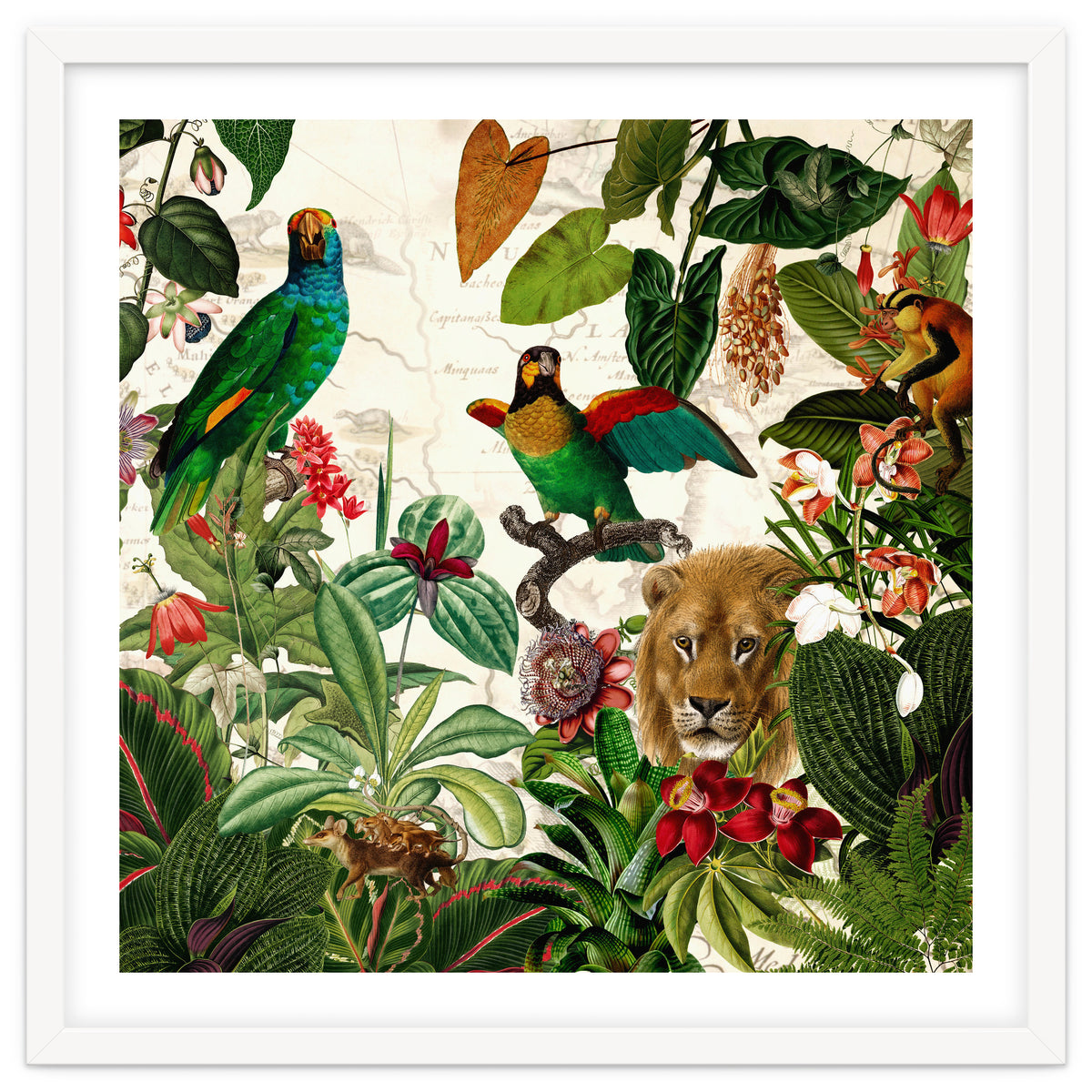 Exotic Lush Jungle And Wild Animals Landscape