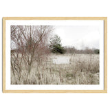 Abandoned Sofa in the middle of nowhere thumbnail