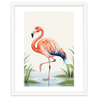 Flamingo Watercolor Illustration