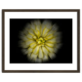 Backyard Flowers No 86 Color Flow Version thumbnail