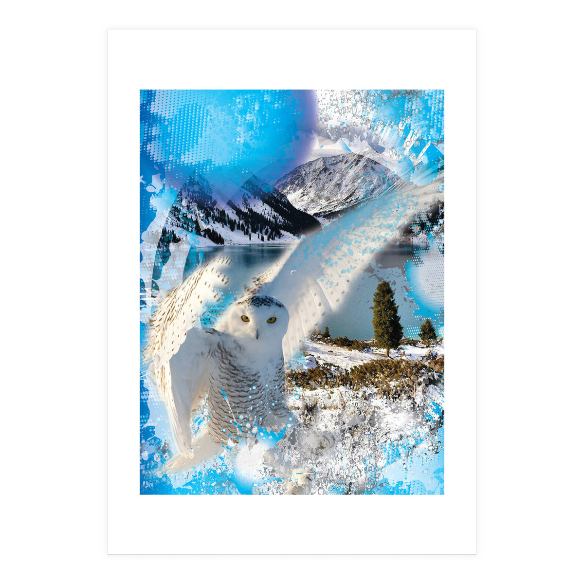 Snow Owl (Print Only)