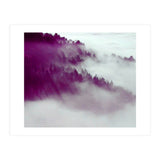 Forest Fog (Print Only) thumbnail
