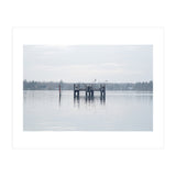 Birds rest in the Lake (Print Only) thumbnail