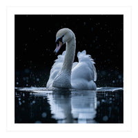 Majestic Swan Swimming In Dark Water (Print Only)