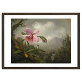 Martin Johnson Heade (Lumberville, 1819-St. Augustine, 1904). Orchid and Hummingbird near a Water... thumbnail