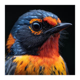 Vibrant Bird With Orange And Blue Plumage (Print Only) thumbnail
