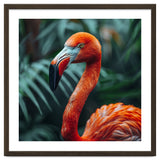 Close Up Of A Vibrant Orange Flamingo Bird thumbnail