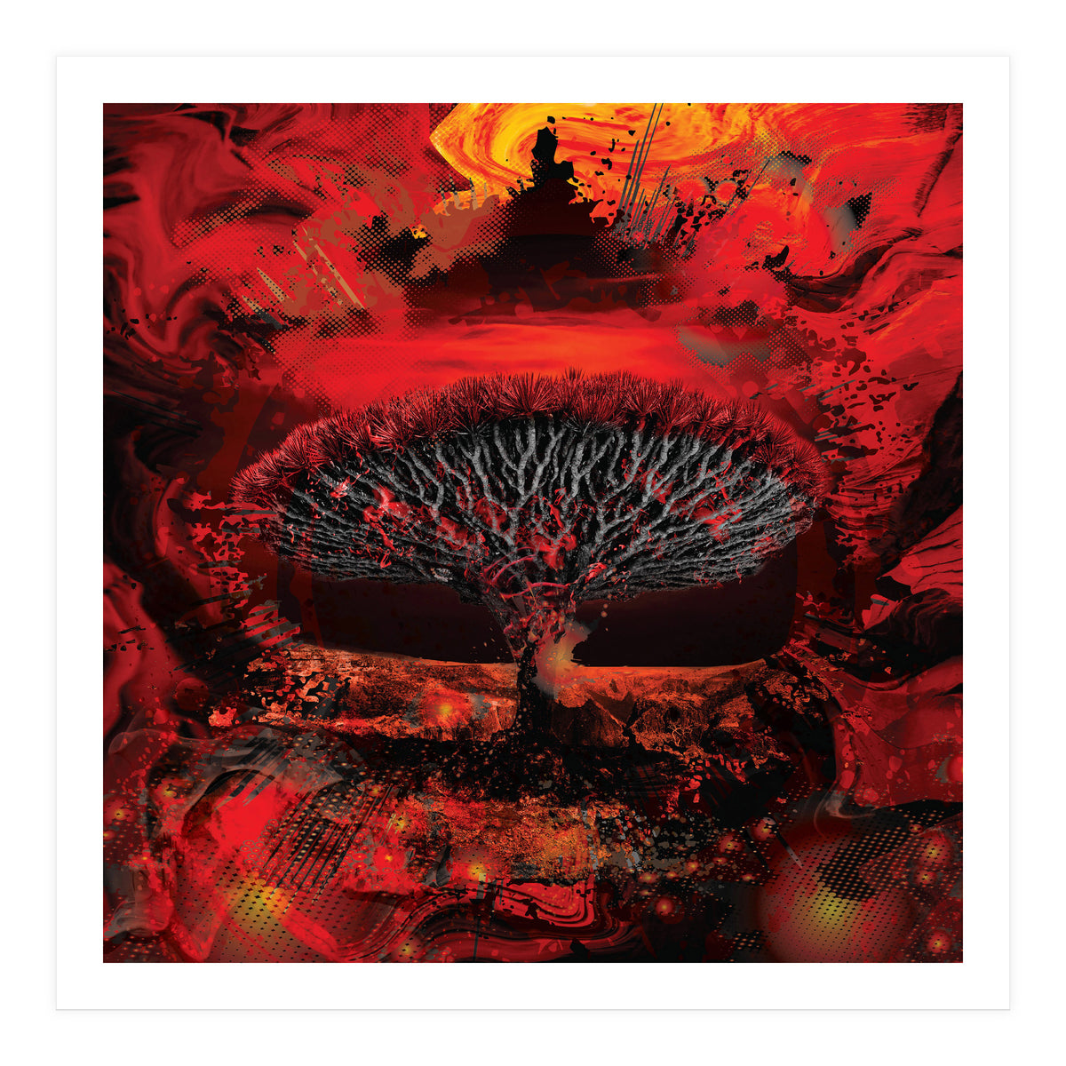 Socotra Dragon Blood tree (Print Only)