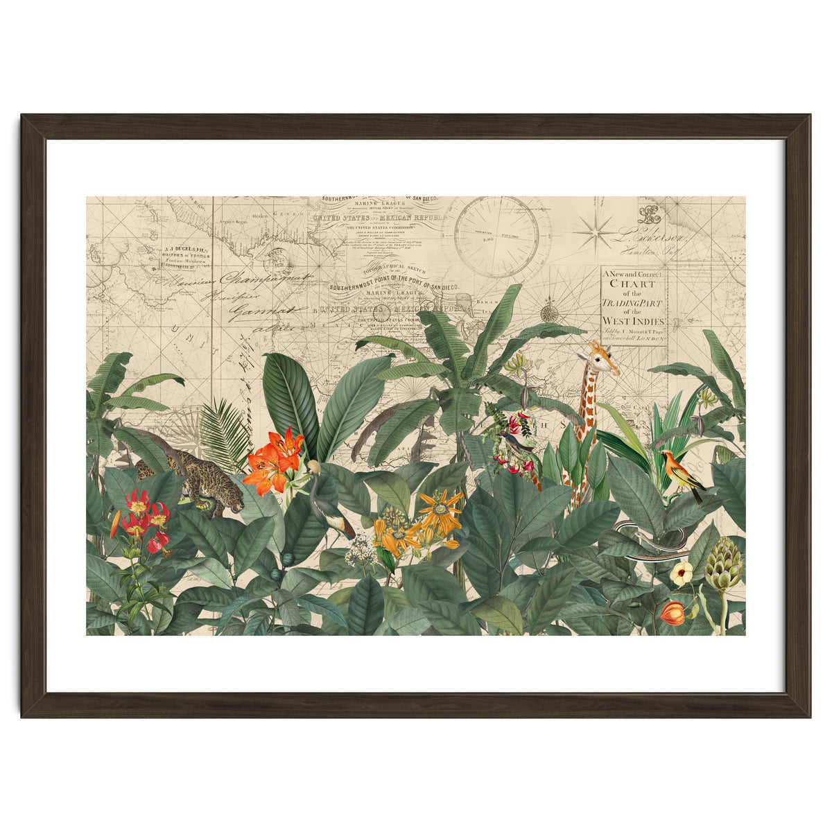 Explore The New World Wild Animals