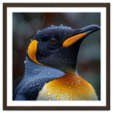 King Penguin Standing In Rain With Water Drops Nature Photography thumbnail
