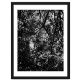 Tree From Below Black Silhouette thumbnail