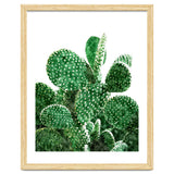 Velvet Cactus | Watercolor Botanical Plants | Minimal Boho Scandinavian Painting thumbnail