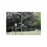 Signs at the corner of the street (Print Only) thumbnail