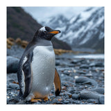 Gentoo Penguin Standing On A Rocky Shore (Print Only) thumbnail