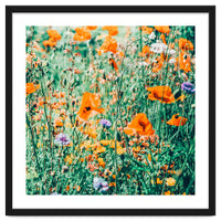 Eva | Nature Floral Meadow Garden | Photography Botanical Spring Bohemian Flowers