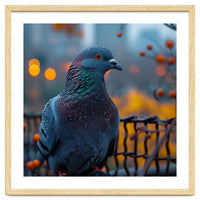 Pigeon With Water Droplets