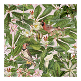 Tropical Bird Garden (Print Only) thumbnail