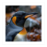 King Penguin In Rain With Water Drops (Print Only) thumbnail