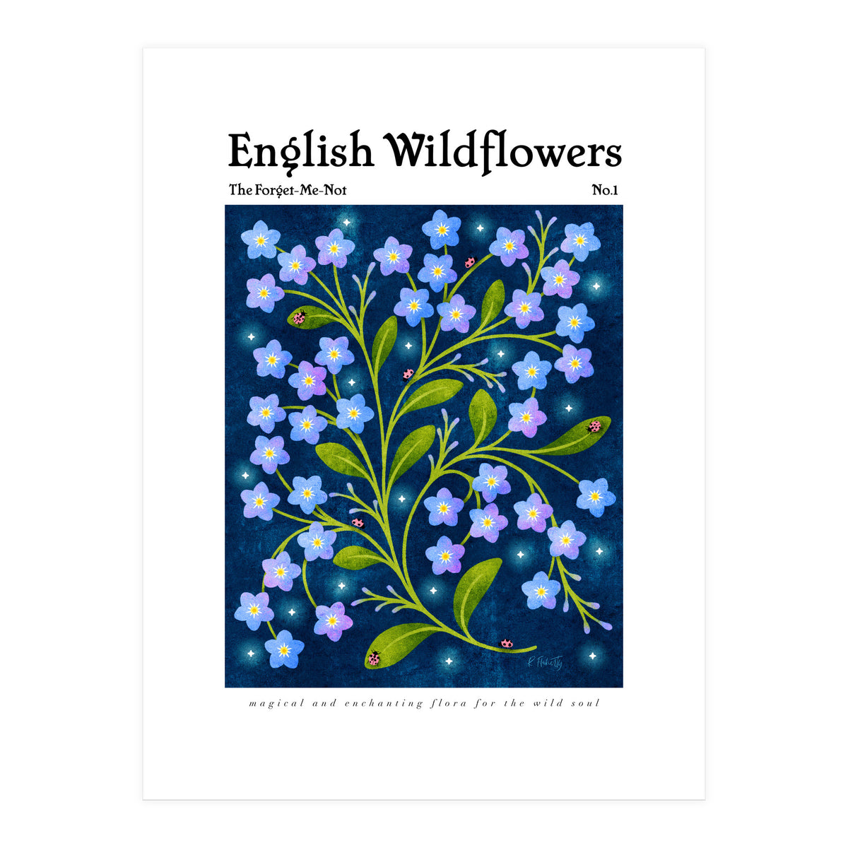English Wildflowers | Forget-Me-Not (Print Only)