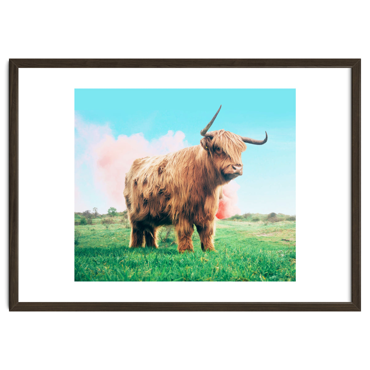 Highland Cow #society6 #decor #buyart
