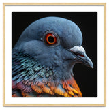 Close Up Of A Pigeon Bird thumbnail