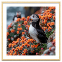 Atlantic Puffin Bird Perched On Orange Flowers