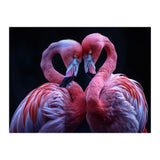Two Pink Flamingos Forming A Heart Shape (Print Only) thumbnail