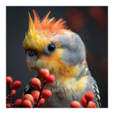 Close Up Of A Cockatiel Parrot With Orange Crest (Print Only) thumbnail