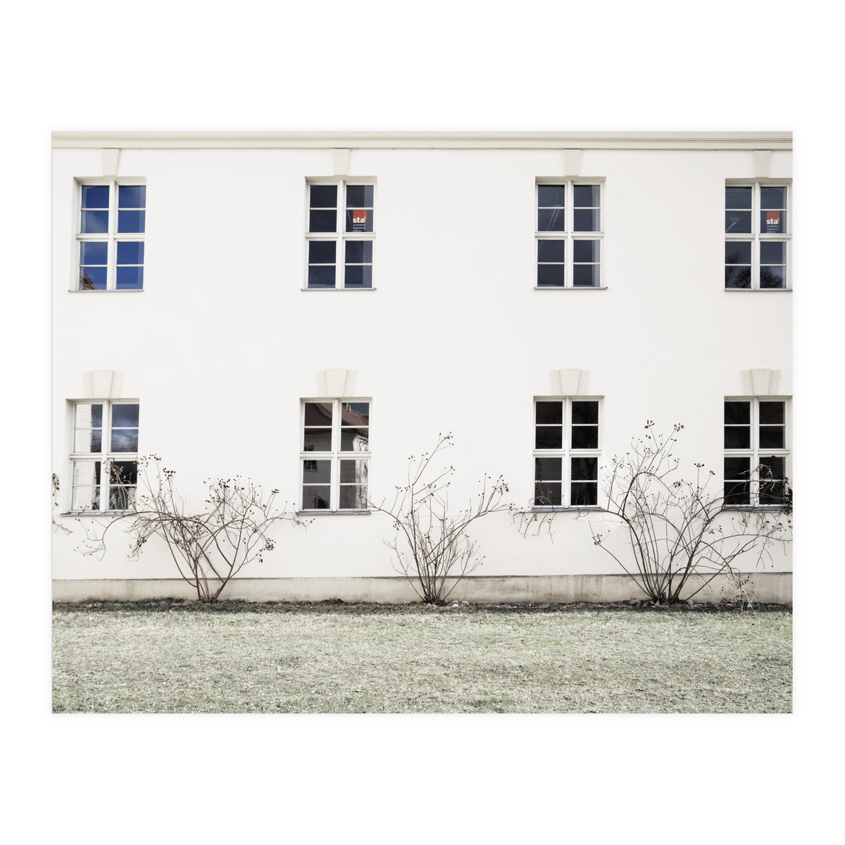 Small trees in between the windows  (Print Only)