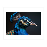 Close Up Peacock Head Blue Green Feather  (Print Only)