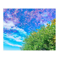 Changing Seasons (Print Only)