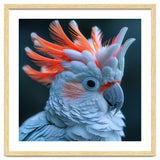 Cockatoo Bird With Orange Crest Portrait thumbnail