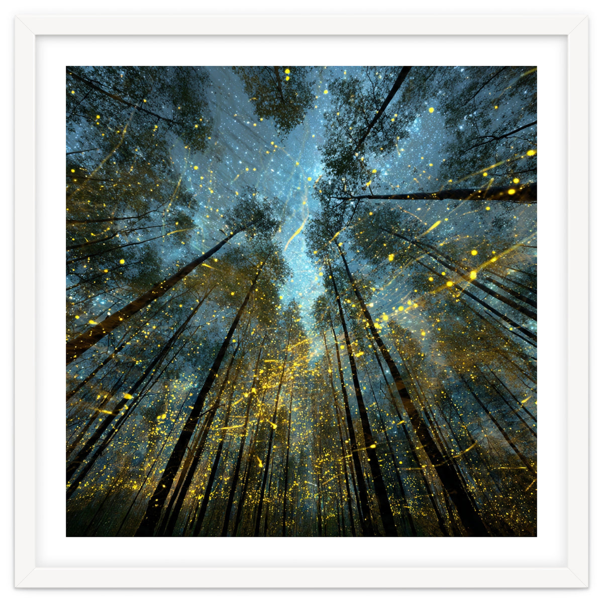Enchanted Night Forest with Glowing Fireflies