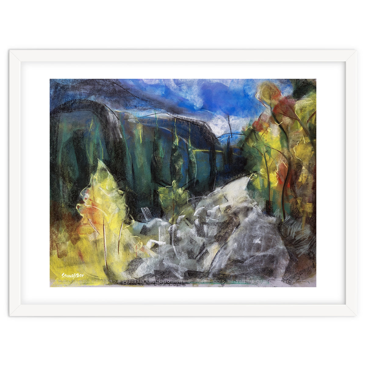 The Forest of Rila Mountain