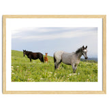 Equine Family thumbnail