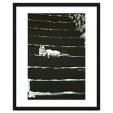 Cat On Stairs thumbnail