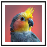 Cockatiel Parrot Head Close Up Portrait thumbnail