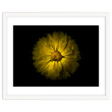 Backyard Flowers No 10 Color Version thumbnail