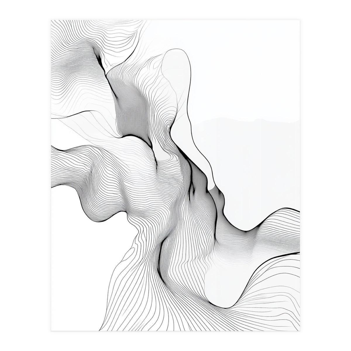 Abstract Black And White Flowing Lines (Print Only)