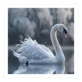 Majestic White Swan Gracefully Floating On Water (Print Only) thumbnail