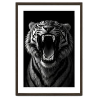 Roaring Tiger portrait